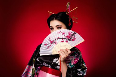 Göz kamaştırıcı, tapılası kadın geyşa kimono sakura desenli fotoğraf. Kırmızı arka planda izole edilmiş boş bir alan gibi görünüyor..
