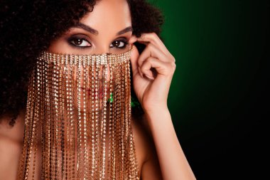 Şık, güzel bir hanımın fotoğrafı. Mükemmel güzellik prensesi. Takı peçesi takın..