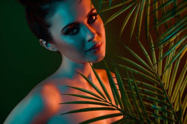 Tropikal ormanda seksi bayan amazon 'un güneş banyosunun tadını çıkarırken çekilmiş bir fotoğrafı..