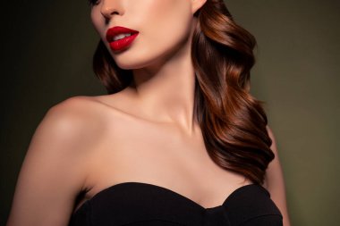 Muhteşem klas Hollywood kadınının kırpılmış portresi dolgun kırmızı dudaklar ve haki rengi arka planda mükemmel makyaj..