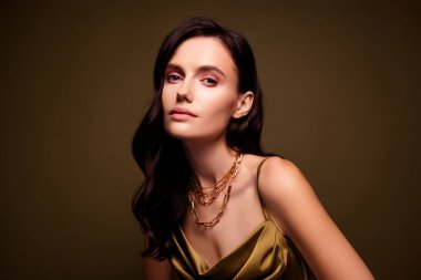 Kırmızı halı seremonisi için şık giyinmiş muhteşem zengin bir kadının portresi kahverengi renk arka planında izole edilmiş..