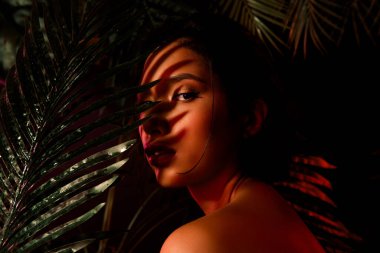 Vücudunda turuncu neon ışıkları olan Asyalı bir kızın tropik yaprakların arkasına saklandığı fotoğraf..