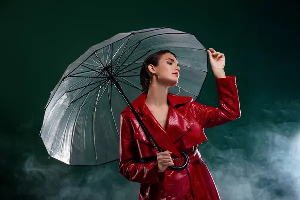 魅力的な少女の写真 傘を保持する コートの外観 プロフィール側 隔離された暗い霧の背景 — ストック写真