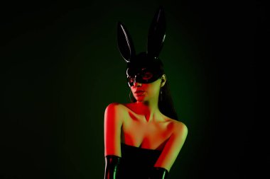 Photo of fancy hot lady in rabbit costume advertising sexshop garment isolated on dark green color background. clipart