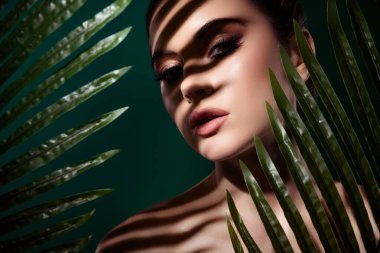 Çekici bir kızın fotoğrafı cennet bahçesindeki tropikal palmiye ağacına saklanıyor..