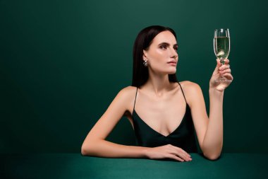 Çekici elbiseli, seksi bir bayanın fotoğrafı. Şarap partisinin tadını çıkarıyor. Yeşil bir arka plan..