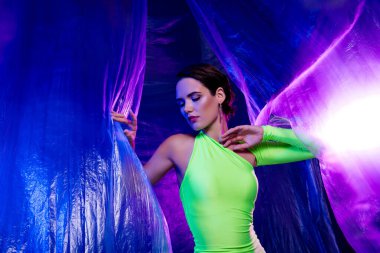 Muhteşem, şık bir kadının açık plastik perdeye dokunuşunun fotoğrafı izole edilmiş, renkli bir stüdyo arkaplanı hisset..