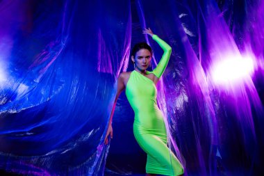 Plastik perdelere dokunan şık bir bayanın fotoğrafı izole edilmiş renkli stüdyo arkaplanını cezbediyor..