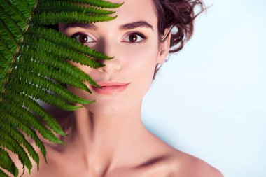 Gri arkaplanda izole edilmiş taze bitki derisi..