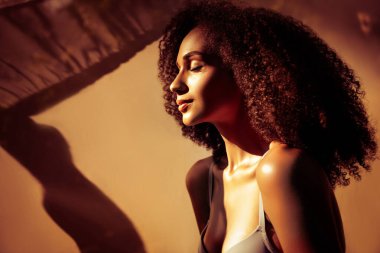 Çok hassas bir kızın profil fotoğrafı. Kapalı gözler, güneş ışınları, açık havada ipeksi tül..