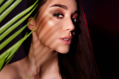 Çekici bir kadının fotoğrafı. Çıplak omuzlar. Esmer arka planda güzellik dergisine poz veriyor..