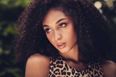 Doğal kıvırcık saçlı, çeşitli güzellikleri, zarafeti ve doğal ışığa güveni olan genç bir kadının yakın çekimi..