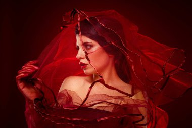Büyüleyici bir kompozisyon. Kırmızı kumaşla kaplanmış güzel bir kadın. Zarafet, şehvet ve tematik zenginlik yayıyor..