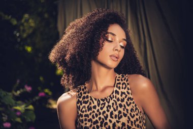 Güzel bir leopar desenli elbise giymiş, kıvırcık saçlarıyla doğal güzelliğini sergileyen ve açık hava ortamında altın doğal ışıklandırmayla vurgulanan genç bir kadın manken..