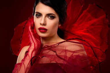 Esmer saçlı, çarpıcı makyajlı ve şık kırmızı elbiseli bir kadının zarif portresi. Stüdyonun grafiksel arka planında gösterişli ve göz alıcı bir şekilde çekilmiş..