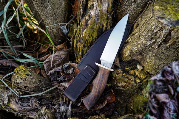 Custom handmade knife on forest litter