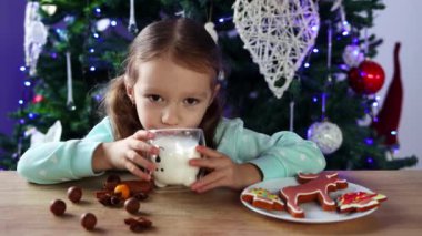 A little curly-haired girl drinks milk from a glass, eats gingerbread Christmas cookies, and laughs happily against a background of a Christmas tree. The atmosphere of Christmas and New Year.