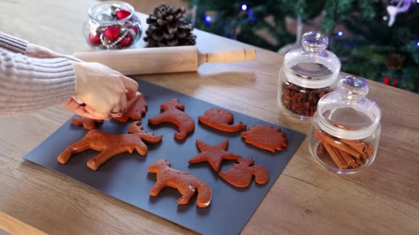 Frauenhände Färben Hause Zeitlupe Lebkuchen Aus Weihnachtsdekoration Der Küche Tanne — Stockvideo
