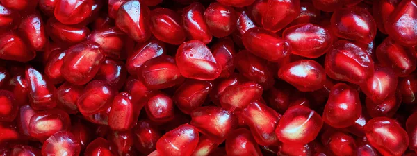 Banner of red Background of Grain Red Grenades. Big Ripe Red Granets or Garnets. Fruits of Red Ripe Pomegranate. Vegetarian Concept, Organic Vitamins. Organic and Benefit Garnet Fruit.