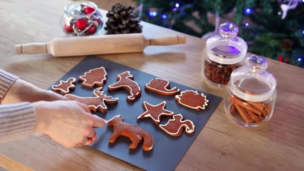Womens Hands Coloring Christmas Gingerbread Cookies Home Christmas Decoration Kitchen — Stock Video