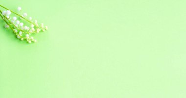 Banner with a beautiful lily of the valley flowers against a green background. Blossoming branch. Spring still life. Place for text. Concept of spring or mom day.