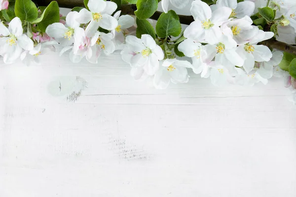 stock image A beautiful sprig of an apple tree with white flowers against a white wooden background. Blossoming branch. Spring still life. Place for text. Concept of spring or mom day.