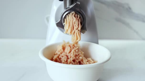 Cooking Minced Meat Electric Meat Grinder Process Grinding Meat Electric — Stockvideo