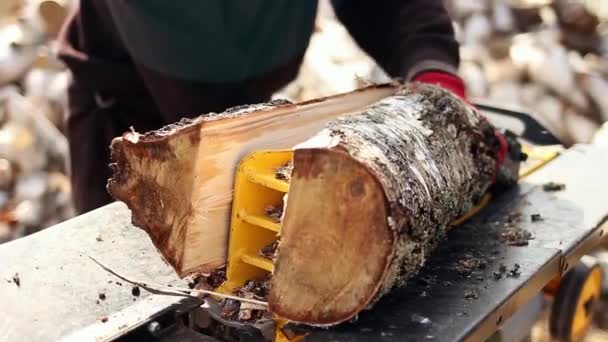 수작업으로 나무를 삽으로 퍼내어 자작나무 장작을 수컷의 모습을 가까이 구경해 — 비디오