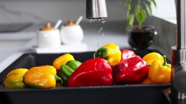 Žlutý Červený Pepř Omývá Speciálním Zásobníku Zeleninu Proud Vody Stéká — Stock video