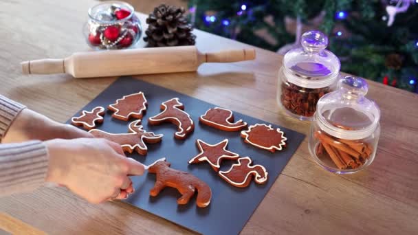 Womens Hands Coloring Christmas Gingerbread Cookies Home Slow Motion Christmas — Stock Video