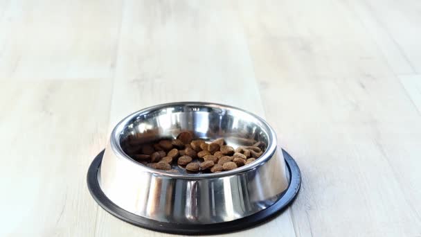 Comida Los Perros Cae Placa Metal Alimentación Animal Seca Cae — Vídeo de stock