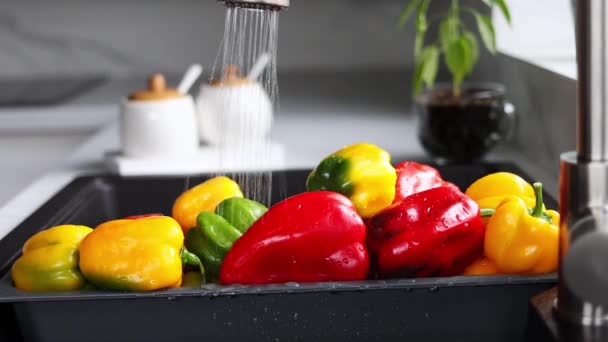 Gelber Und Roter Pfeffer Werden Einem Speziellen Tablett Für Gemüse — Stockvideo