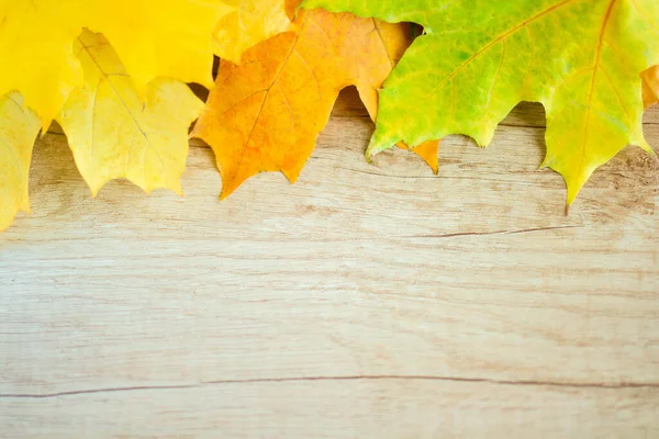 Background Many Yellow Maple Leaves Space Text Wooden Background Autumn — Stok fotoğraf