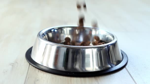 Dogs Food Falls Metal Plate Slow Motion Dry Animal Feed — Stock Video