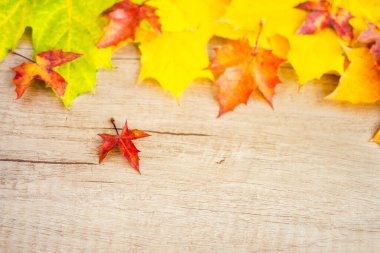 Background of many yellow maple leaves with space for text on a wooden background. Autumn Leaf Background.
