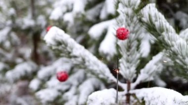 Bengal yangını, kış ormanlarında kırmızı toplarla süslenmiş Noel ağaçlarının arka planında yanar. Noel ağacı. Noel ve Yeni Yıl atmosferi.