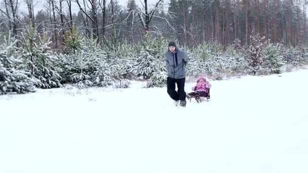 パパは雪が降る冬の森で眠っている小さな娘に乗っている 幸せな家族は冬の自然の中で楽しんでいる — ストック動画