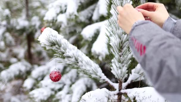 Ένα Γυναικείο Χέρι Διακοσμεί Ένα Χιονισμένο Χριστουγεννιάτικο Δέντρο Μια Κόκκινη — Αρχείο Βίντεο