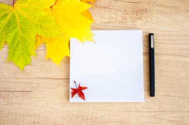 Notepad and pen lie on a wooden background with yellow autumn leaves. Back to school.
