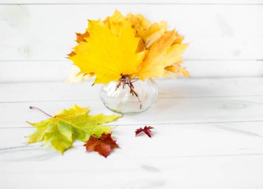 A bouquet of yellow autumn maple leaves in a vase against a white tree background. Autumn composition.