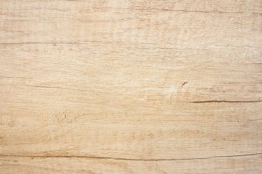 Detailed warm dark brown and orange tones of a felled tree trunk. Close-up wood texture.