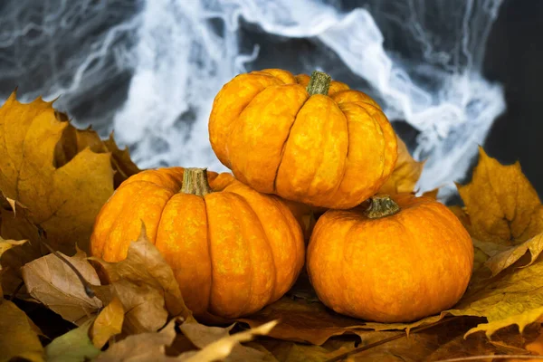 Halloween Holiday Attributes Three Pumpkins Black Background Spider Webs Autumn — Stock Photo, Image