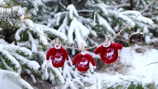 Язані Іграшкові Червоні Светри Оленями Звисають Мотузці Ялинових Гілках Зимовому — стокове відео