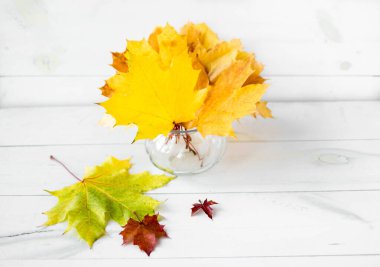 A bouquet of yellow autumn maple leaves in a vase against a white tree background. Autumn composition.
