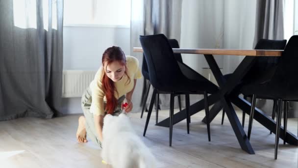 Young Girl Cleans Floor Puppy Small White Puppy While Playing — Stock Video