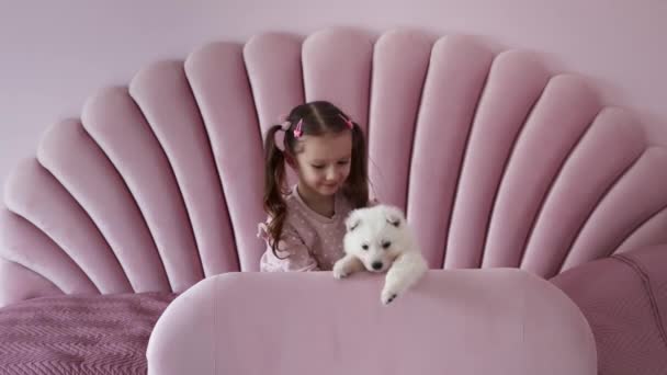 ベッドの上に小さな白いスイスの羊飼いの子犬を抱きしめるヨーロッパの外観の少女 子供時代とペットの概念 4K映像について — ストック動画