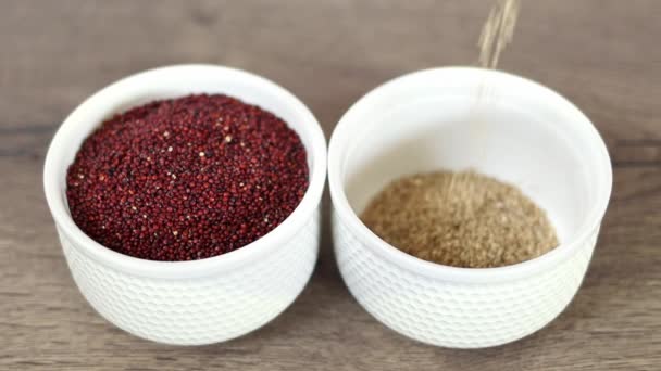 Quinoa Rouge Blanc Est Versé Dans Une Assiette Blanche Sur — Video