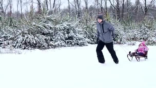 Táta Jezdí Malé Dcerce Saních Zimním Lese Během Sněžení Šťastná — Stock video