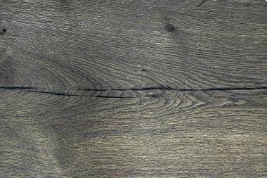 Detailed warm dark brown and orange tones of a felled tree trunk. Close-up wood texture.