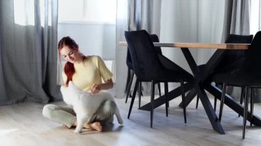 Genç bir kız yemek odasında yerde küçük beyaz bir köpek yavrusuyla oynuyor. Beyaz bir İsviçreli çoban köpeği sahibi ile yavaş çekimde oynar. Evcil hayvan kavramı.